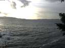 ./images/koeye/fitz-hugh/20210104/fitz-hugh20210104_152501.jpg