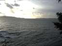 ./images/koeye/fitz-hugh/20210104/fitz-hugh20210104_153001.jpg