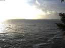 ./images/koeye/fitz-hugh/20210104/fitz-hugh20210104_154001.jpg