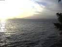 ./images/koeye/fitz-hugh/20210104/fitz-hugh20210104_155501.jpg
