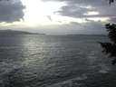 ./images/koeye/fitz-hugh/20210104/fitz-hugh20210104_161501.jpg