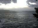 ./images/koeye/fitz-hugh/20210104/fitz-hugh20210104_162001.jpg