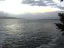 ./images/koeye/fitz-hugh/20210104/fitz-hugh20210104_162501.jpg