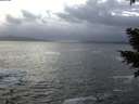 ./images/koeye/fitz-hugh/20210104/fitz-hugh20210104_165002.jpg