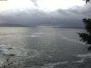 ./images/koeye/fitz-hugh/20210104/fitz-hugh20210104_165502.jpg