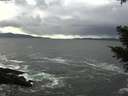 ./images/koeye/fitz-hugh/20210106/fitz-hugh20210106_132501.jpg