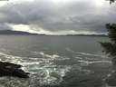 ./images/koeye/fitz-hugh/20210106/fitz-hugh20210106_133002.jpg