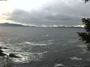 ./images/koeye/fitz-hugh/20210106/fitz-hugh20210106_154501.jpg