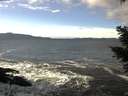 ./images/koeye/fitz-hugh/20210107/fitz-hugh20210107_121502.jpg
