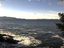 ./images/koeye/fitz-hugh/20210107/fitz-hugh20210107_123501.jpg