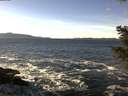 ./images/koeye/fitz-hugh/20210107/fitz-hugh20210107_124501.jpg