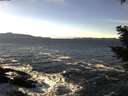 ./images/koeye/fitz-hugh/20210107/fitz-hugh20210107_131001.jpg