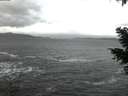 ./images/koeye/fitz-hugh/20210108/fitz-hugh20210108_080002.jpg