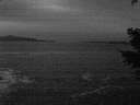 ./images/koeye/fitz-hugh/20210109/fitz-hugh20210109_075001.jpg