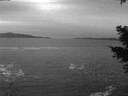./images/koeye/fitz-hugh/20210109/fitz-hugh20210109_075501.jpg