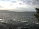 ./images/koeye/fitz-hugh/20210111/fitz-hugh20210111_124001.jpg