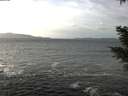 ./images/koeye/fitz-hugh/20210111/fitz-hugh20210111_130001.jpg