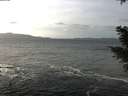 ./images/koeye/fitz-hugh/20210111/fitz-hugh20210111_130501.jpg