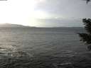 ./images/koeye/fitz-hugh/20210111/fitz-hugh20210111_131001.jpg