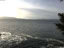 ./images/koeye/fitz-hugh/20210111/fitz-hugh20210111_132001.jpg