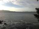 ./images/koeye/fitz-hugh/20210111/fitz-hugh20210111_135001.jpg