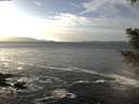 ./images/koeye/fitz-hugh/20210111/fitz-hugh20210111_140001.jpg