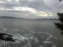./images/koeye/fitz-hugh/20210111/fitz-hugh20210111_144502.jpg