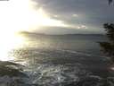 ./images/koeye/fitz-hugh/20210111/fitz-hugh20210111_154501.jpg