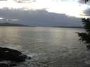 ./images/koeye/fitz-hugh/20210111/fitz-hugh20210111_160501.jpg