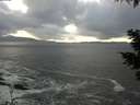 ./images/koeye/fitz-hugh/20210113/fitz-hugh20210113_152501.jpg
