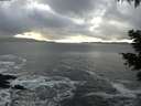 ./images/koeye/fitz-hugh/20210113/fitz-hugh20210113_153001.jpg