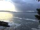 ./images/koeye/fitz-hugh/20210113/fitz-hugh20210113_163002.jpg