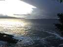 ./images/koeye/fitz-hugh/20210113/fitz-hugh20210113_164002.jpg