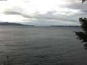 ./images/koeye/fitz-hugh/20210114/fitz-hugh20210114_115002.jpg