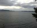 ./images/koeye/fitz-hugh/20210114/fitz-hugh20210114_130001.jpg