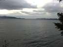 ./images/koeye/fitz-hugh/20210114/fitz-hugh20210114_130501.jpg