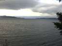 ./images/koeye/fitz-hugh/20210114/fitz-hugh20210114_134501.jpg