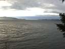 ./images/koeye/fitz-hugh/20210114/fitz-hugh20210114_143502.jpg