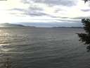 ./images/koeye/fitz-hugh/20210114/fitz-hugh20210114_144502.jpg