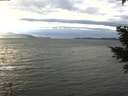 ./images/koeye/fitz-hugh/20210114/fitz-hugh20210114_145002.jpg
