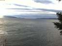 ./images/koeye/fitz-hugh/20210114/fitz-hugh20210114_145502.jpg
