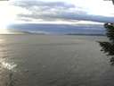 ./images/koeye/fitz-hugh/20210114/fitz-hugh20210114_150502.jpg