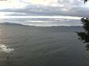 ./images/koeye/fitz-hugh/20210114/fitz-hugh20210114_151502.jpg