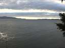 ./images/koeye/fitz-hugh/20210114/fitz-hugh20210114_153001.jpg