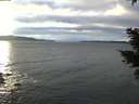 ./images/koeye/fitz-hugh/20210114/fitz-hugh20210114_155001.jpg