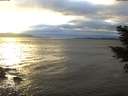 ./images/koeye/fitz-hugh/20210114/fitz-hugh20210114_160501.jpg