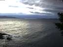 ./images/koeye/fitz-hugh/20210114/fitz-hugh20210114_162501.jpg