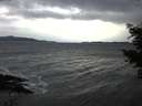 ./images/koeye/fitz-hugh/20210114/fitz-hugh20210114_165501.jpg