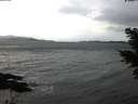 ./images/koeye/fitz-hugh/20210114/fitz-hugh20210114_170002.jpg