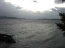 ./images/koeye/fitz-hugh/20210114/fitz-hugh20210114_172501.jpg